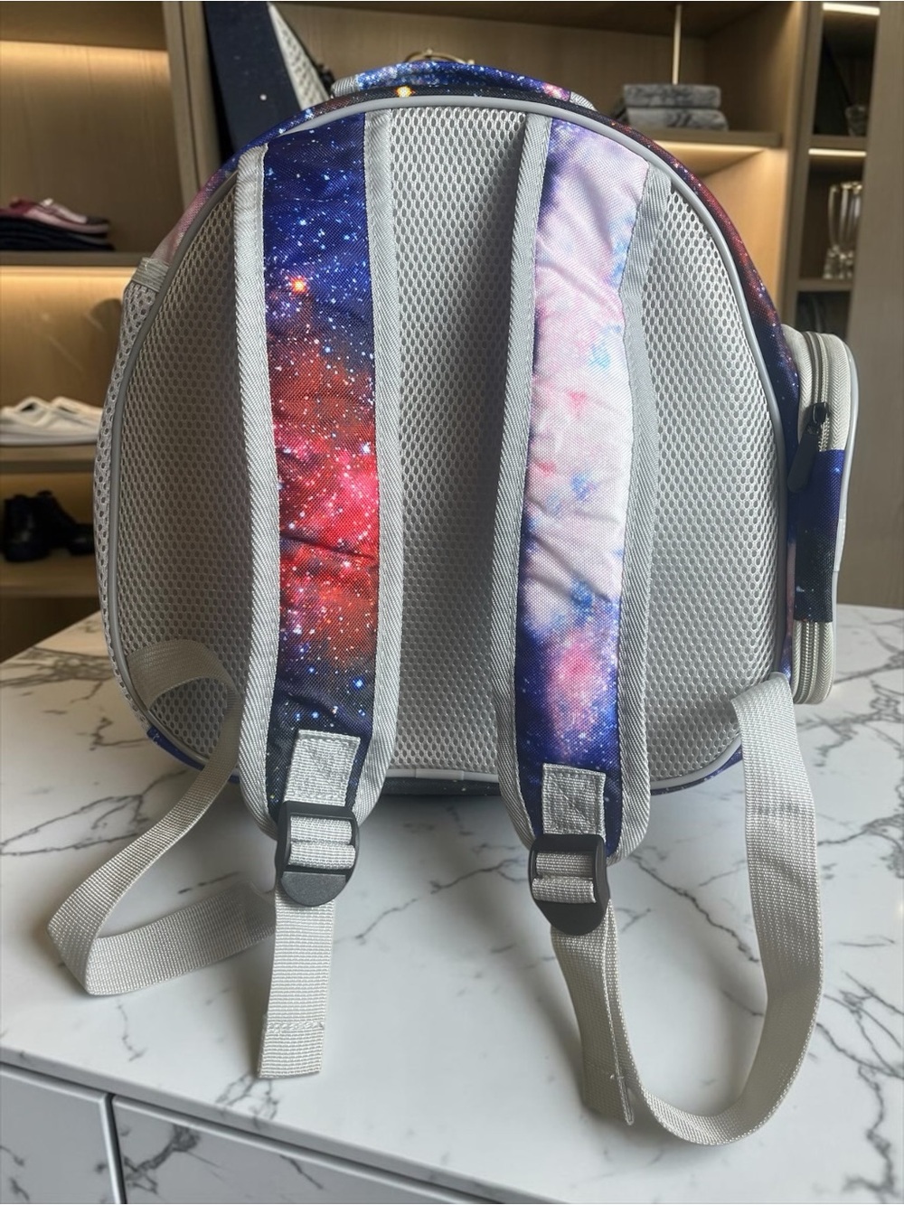 Transparent Gray Small Pet Carrier Backpack with Galaxy-Print Handle - Picture 6 of 7